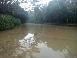 Banjir Pertama Kali Oya, Bersihkan Sampah Sepanjang Aliran Sungai